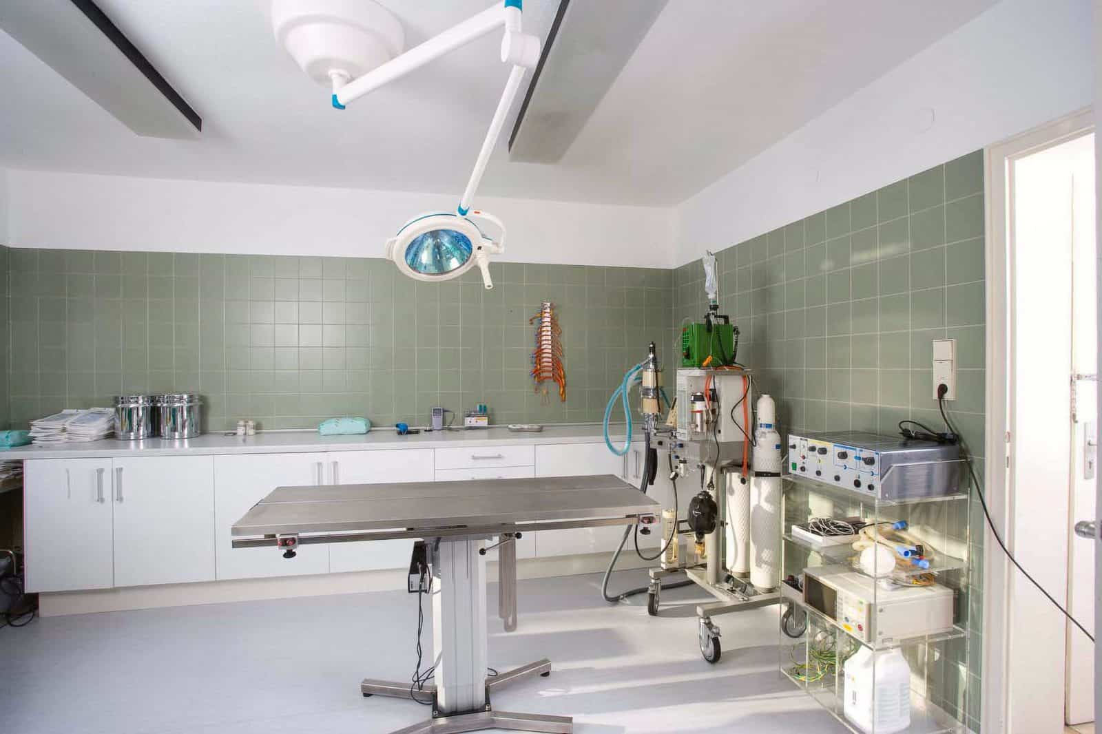 Tierarzt Konstanz Dr Von Haenisch Chirurgie 02