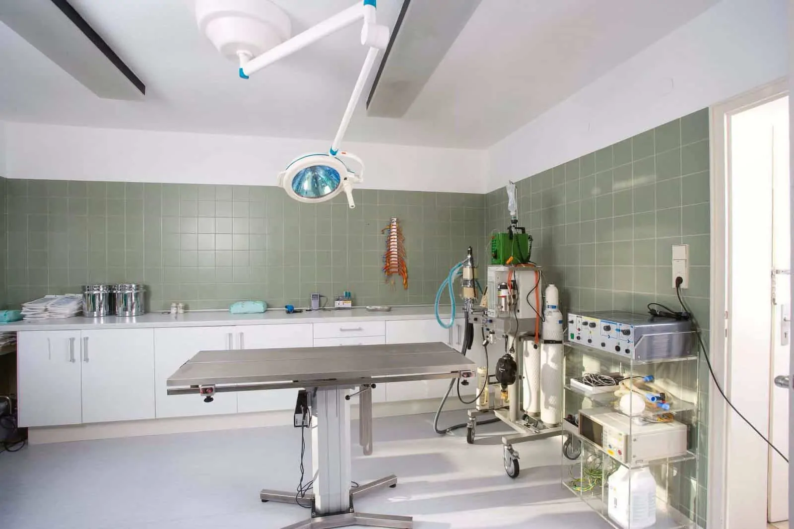 Tierarzt Konstanz Dr Von Haenisch Chirurgie 02