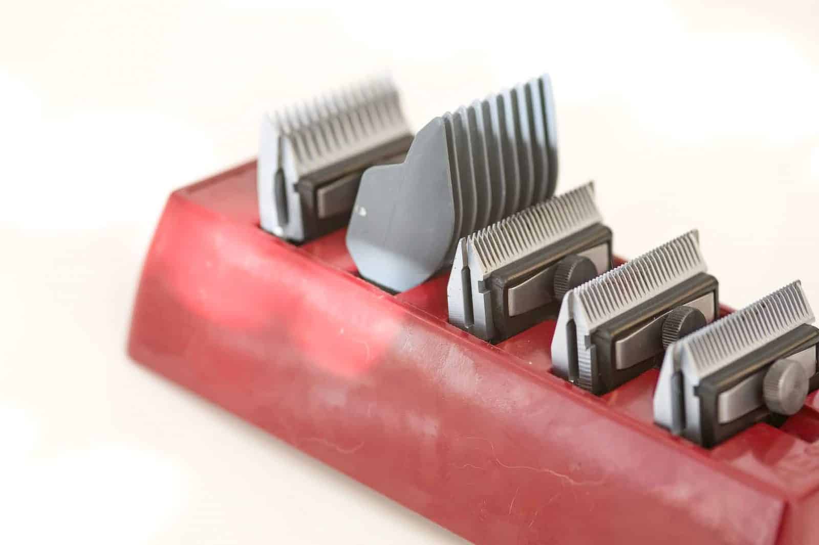 Tierarzt Konstanz Dr Von Haenisch Dermathologie 02 Tierarzt Konstanz Dr Von Haenisch Dermathologie 02