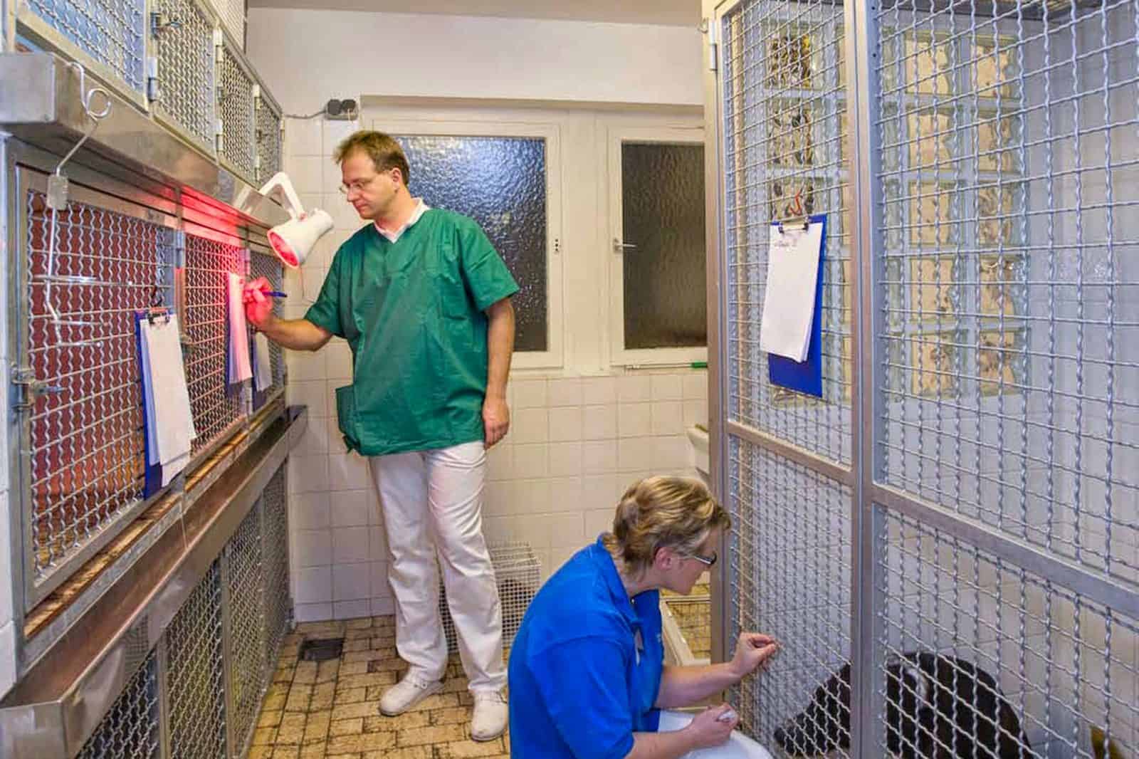 Tierarzt Konstanz Dr Von Haenisch Notfall 01